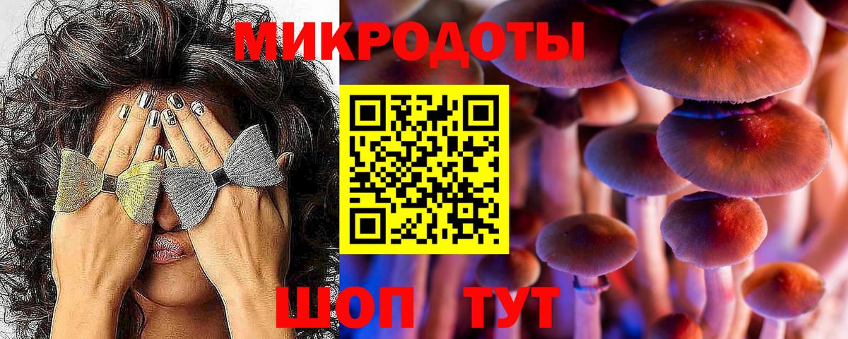 Сунжа  Галлюциногенные грибы Psilocybe  Вход с VPN 